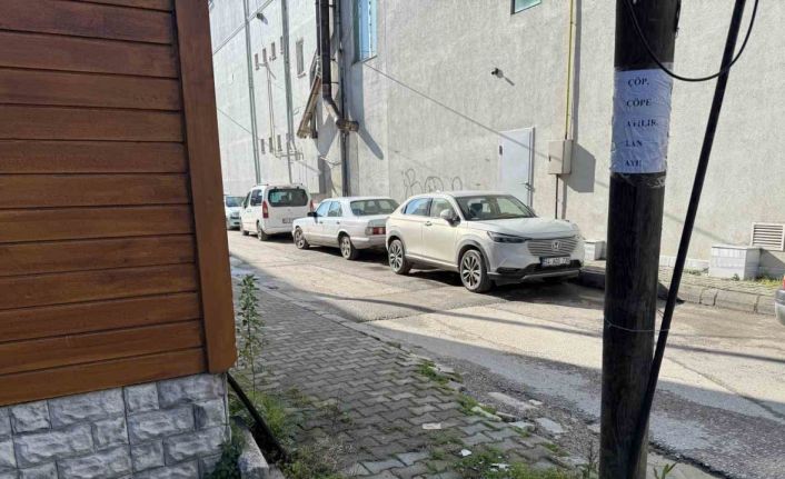 Yerlere çöp atanlara kızdı, sokaktaki direklere ve duvarlara bakın ne yazdı