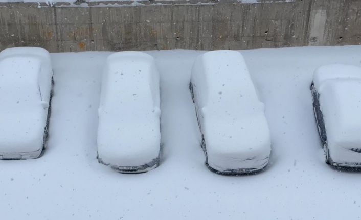 Yüksekova kar esareti altında