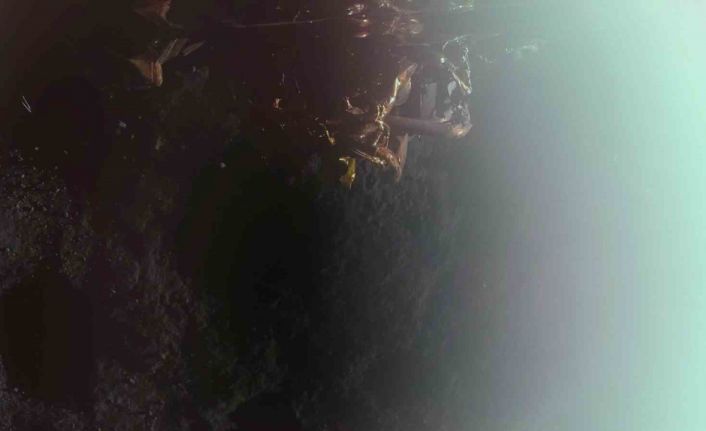 ABD’den fırlatılan "Blue Ghost" uzay aracı Ay’a iniş yaptı