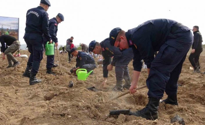 Burdur’da ’doğanın lezzeti ormanda saklı’ diyerek bin 600 fidan toprakla buluşturuldu