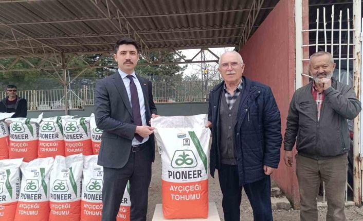 Çiftçiye yüzde 50 hibeli ayçiçeği tohumu