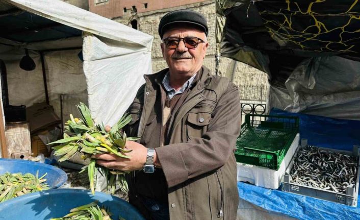 Çiriş otu tezgahlarındaki yerini aldı