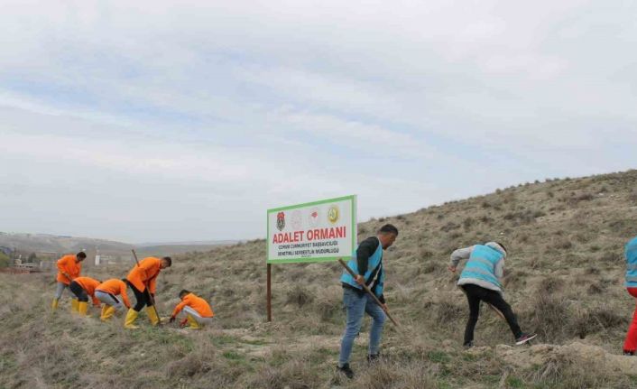 Çorum’da hükümlüler 2 bin fidan dikimi ve 5 bin fidanın bakımını gerçekleştirecek