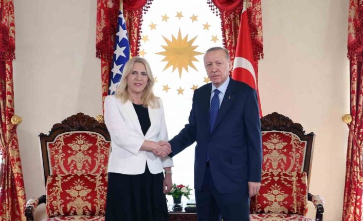 Cumhurbaşkanı Erdoğan, Bosna Hersek Devlet Başkanlığı Konseyi Başkanı Sviyanoviç ile görüştü