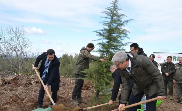 Denetimli serbestlik yükümlüleri fidan dikti