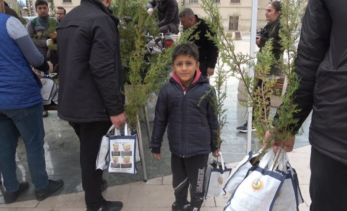 Dünya Ormancılık Günü’nde 5 bin servi fidanı dağıtıldı