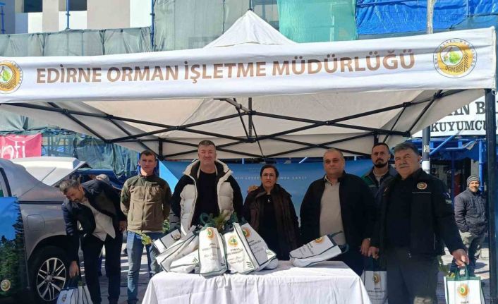 Edirne’de çam fidanı dağıtıldı