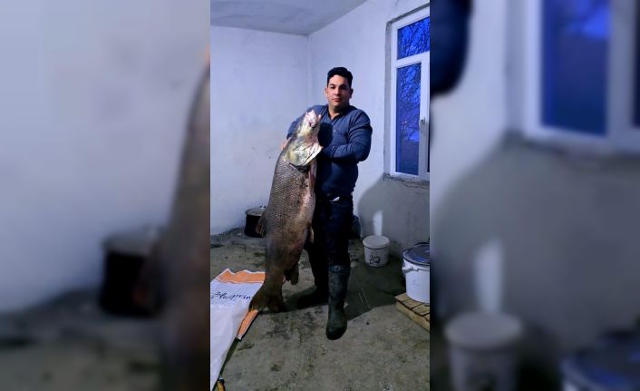 Elazığ’da dev turna balığı yakalandı: Ağırlığı 60 kilogram