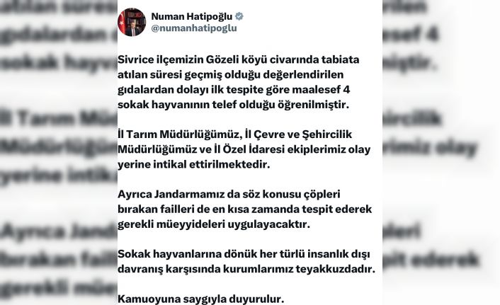Elazığ’da sokak hayvanlarına zarar verilmesi üzerine Vali Hatipoğlu’ndan açıklama