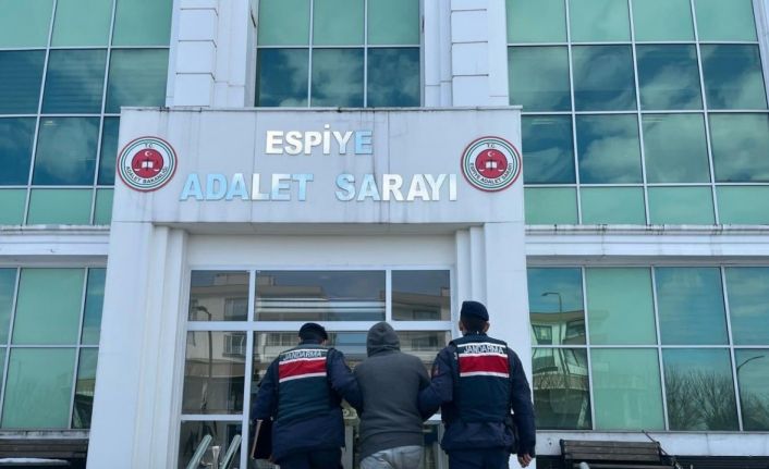 Giresun’da aranan şahıslara yönelik operasyon: 125 kişi yakalandı