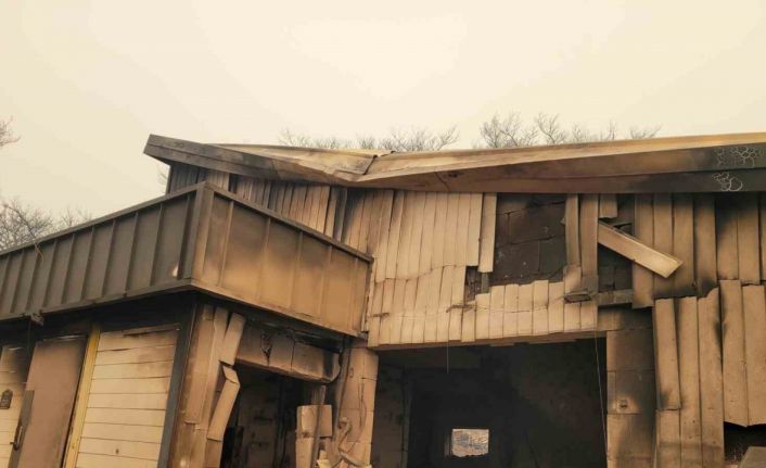 Güney Kore’deki orman yangınlarında 7’nci gün: Ölü sayısı 26’ya, yaralı sayısı 30’a yükseldi