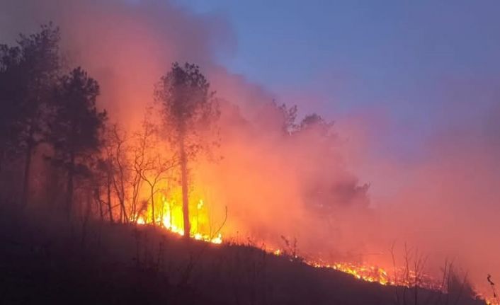 Hatay’daki orman yangını ekiplerin müdahalesiyle kontrol altına alındı