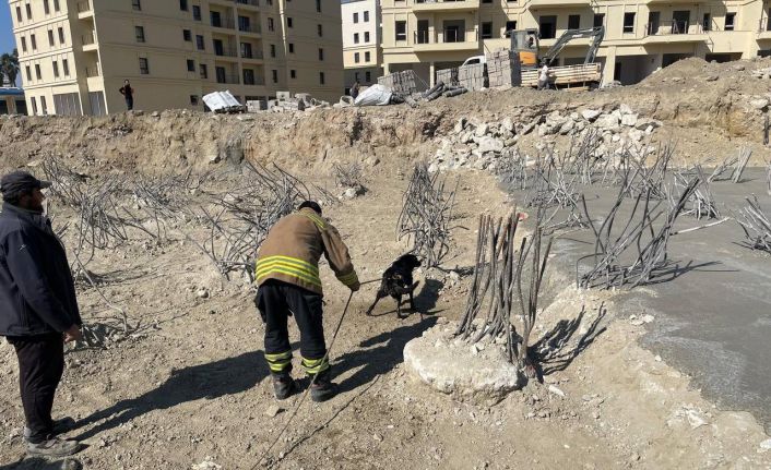 İnşaat alanındaki 15 metrelik çukura düşen köpek kurtarıldı