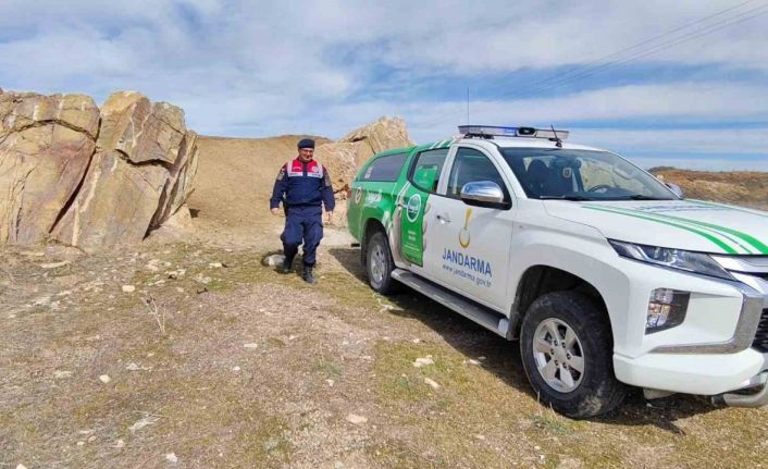 Jandarma yaban hayatı kontrolü yaptı