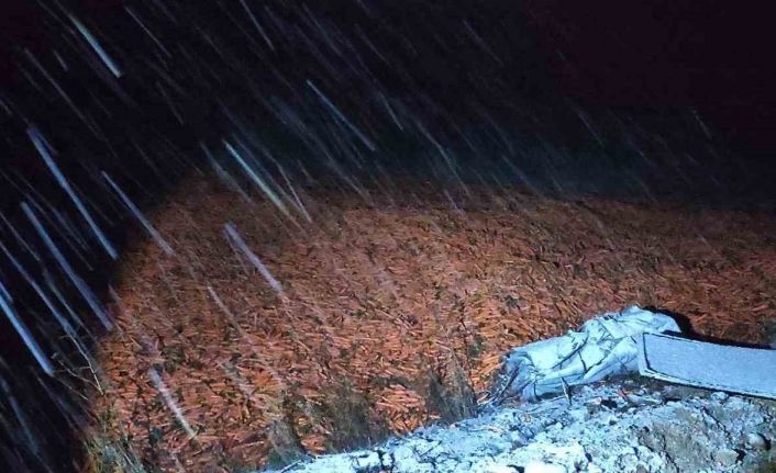 Kar yağışı nedeniyle kayganlaşan yolda kontrolden çıkan kamyon devrildi: 1 yaralı