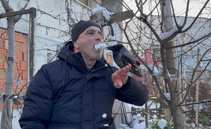 Karganın kar banyosu keyfi: "Bir tek şampuanı eksik"