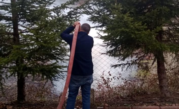 Kuru otlar alev aldı, erken müdahale faciayı önledi