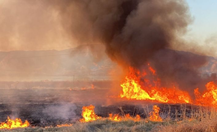 Malatya’da onlarca dönümlük alanda korkutan yangın