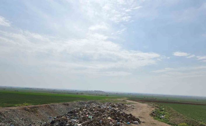 Mardin Büyükşehir Belediyesi, DEM Partili Nusaybin Belediyesinin yapmadığı çöp temizliğini gerçekleştirdi