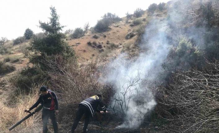 Mardin’de çıkan ot yangını söndürüldü