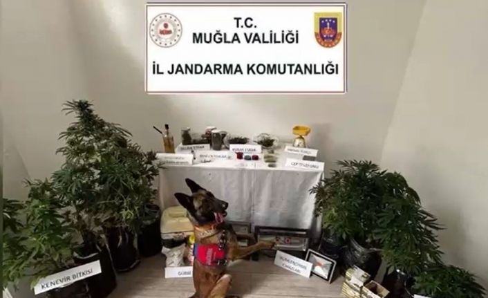 Marmaris’te uyuşturucu operasyonu: 1 tutuklama