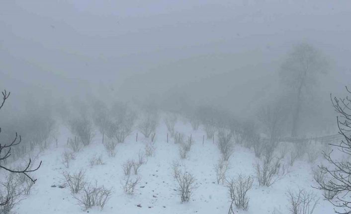 Mart kapıdan baktırdı, kazma kürek yaktırdı