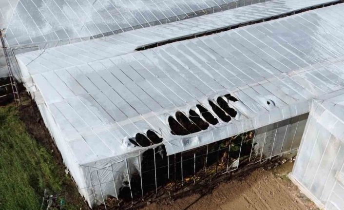 Mersin’de yangın nedeniyle 2 sera zarar gördü