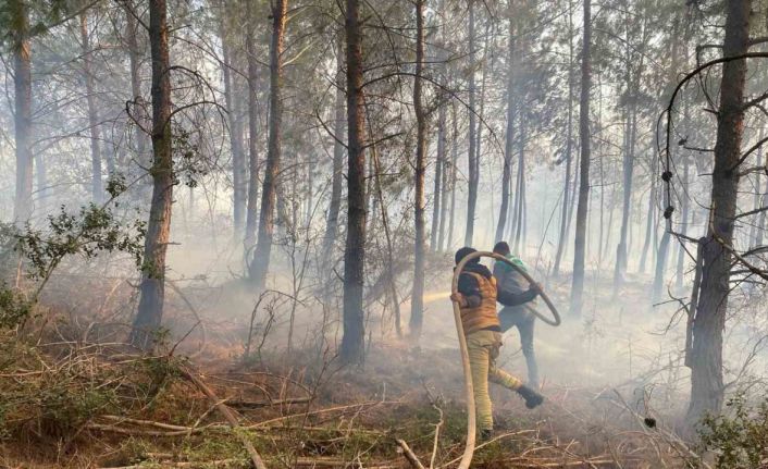Osmaniye’de çıkan orman yangını söndürüldü