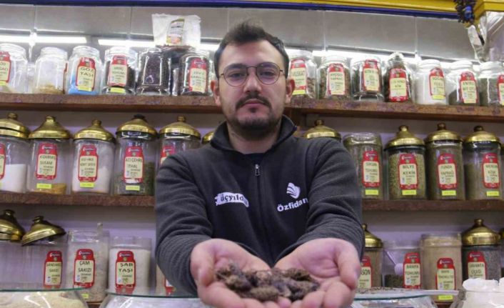 Ramazan’da sigara tiryakilerine çözüm yolu: Karabaş otu