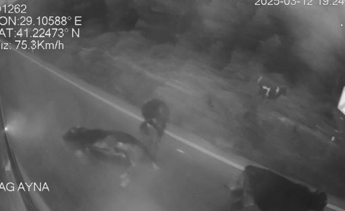 Sarıyer’de İETT otobüsü ile hafif ticari aracın çarpıştığı kaza güvenlik kamerasında