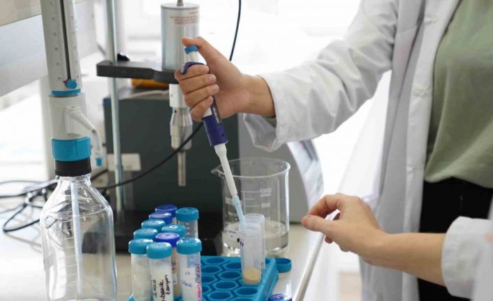 SAÜ’nün yükselişi sürüyor: URAP Dünya Üniversite sıralamasında 52 basamak birden yükseldi