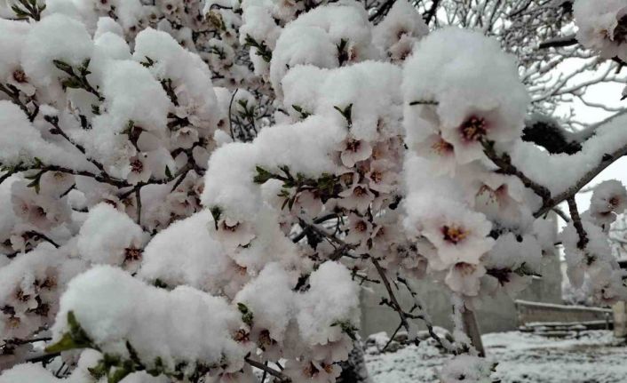 Sincik ilçesinde yoğun kar yağışı