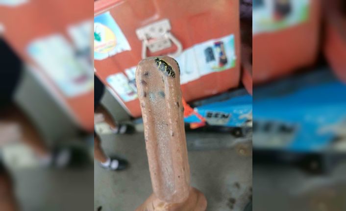 Tayland’da dondurmanın içinden yılan kalıntıları çıktı