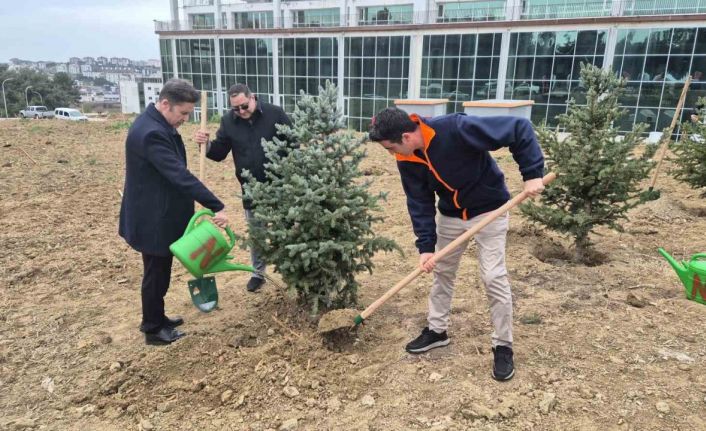 Tekirdağ’da yeşil gelecek atağı: 300 bin fidan