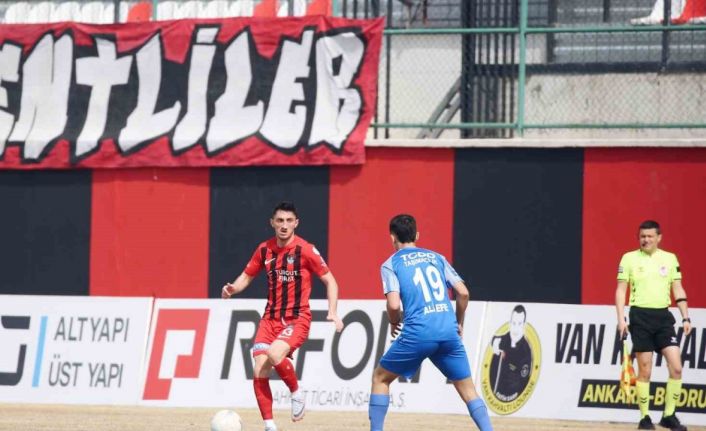 TFF 2. Lig: Vanspor FK: 1 - Ankara Demirspor: 1
