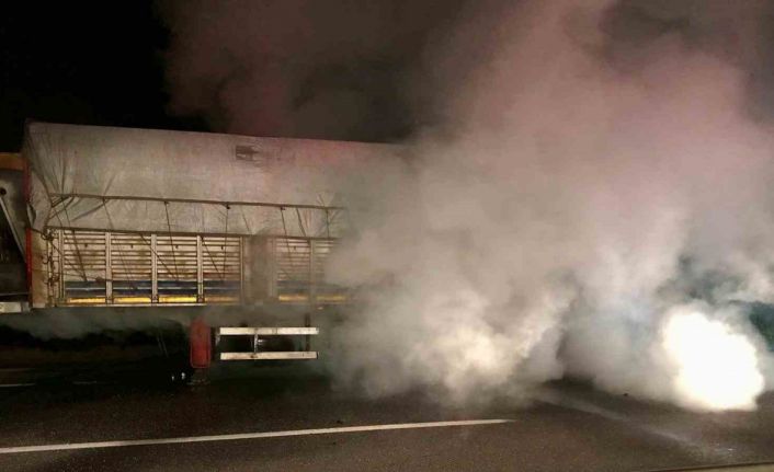 Tırın alev alev yanan lastikleri itfaiye ekiplerince söndürüldü