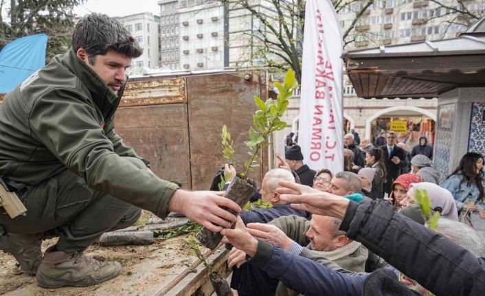 Ücretsiz fidana büyük ilgi