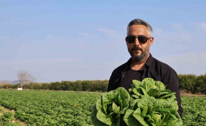 Üreticide en ucuz sebze marul: Tarlada 5 TL, manavda 5 katı