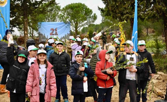 Yalova’da yanan 25 dönümlük orman alanı ağaçlandırıldı