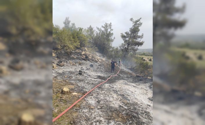 Yayladağı’nda ormanlık alanda yangın