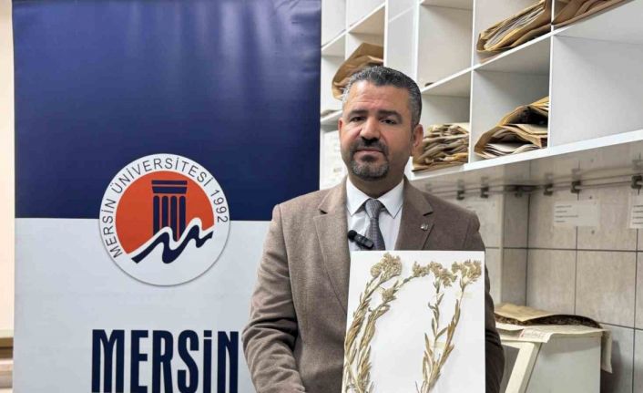 Yeni bitki türü keşfedildi:  Bitkiye hayatını kaybeden öğretim üyesinin adı verildi