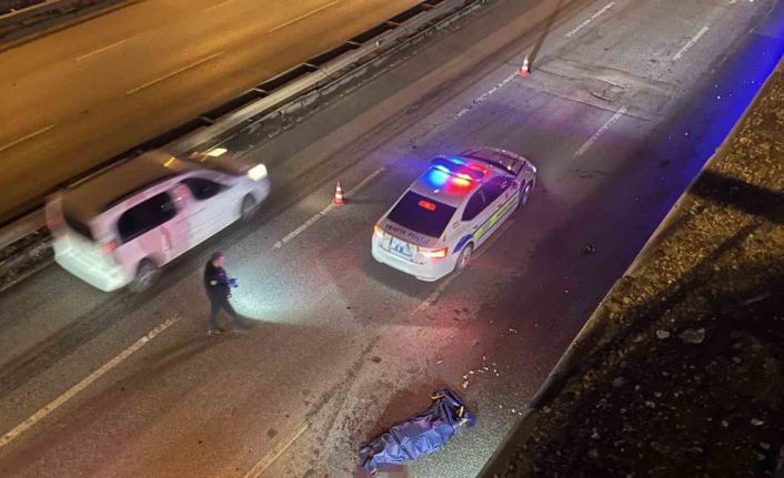 Yola düştükten sonra aracın çarptığı kadın feci şekilde can verdi