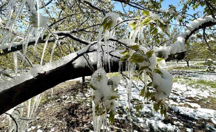 Akçin: "Bu sadece bir ürün kaybı değil, ekonomik ve sosyal krizdir"