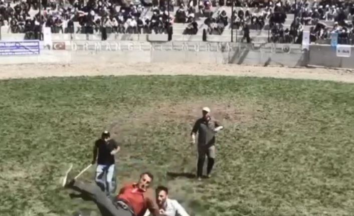 Artvin’de 500 kilogramlık boğa bakıcısını  hastanelik etti