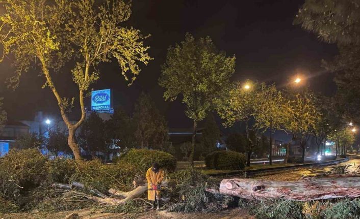 Aydın Büyükşehir Belediyesi’nden şiddetli yağış ve fırtınaya karşı hızlı müdahale