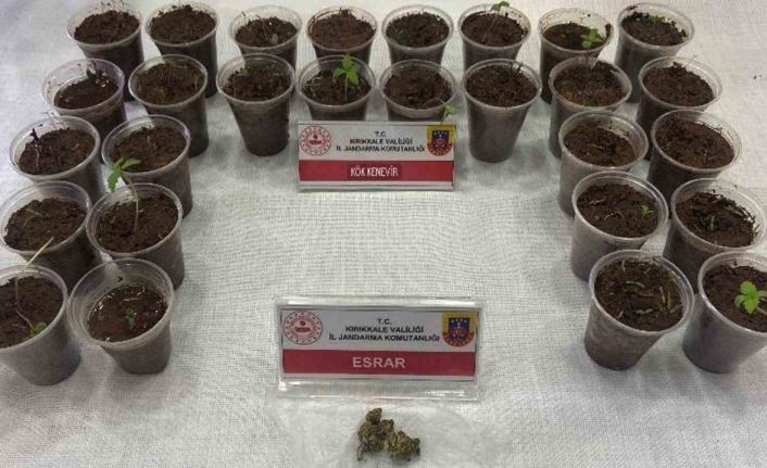 Bagajdan bardak bardak kenevir çıktı: Uyuşturucuyla yakalanan şüpheli tutuklandı