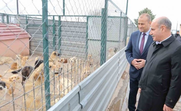 Bakan Yardımcısı Aktaş: "Sokak hayvanları ülkemizin olumsuz gündem maddelerinden biri"