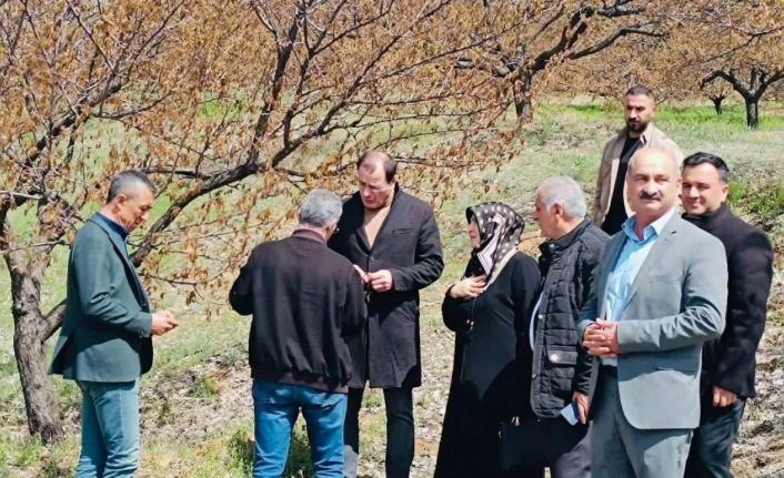 Baskil’de dondan etkilenen meyve bahçelerinde inceleme