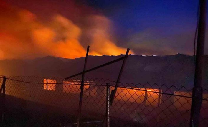 Bilecik’te tavuk çiftliğinde korkutan yangın