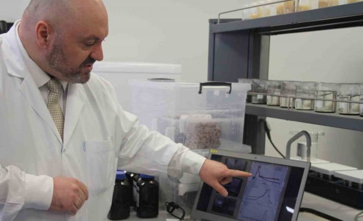 Bu sensörler sayesinde yapı betonlarındaki hareketler anlık takip edilecek